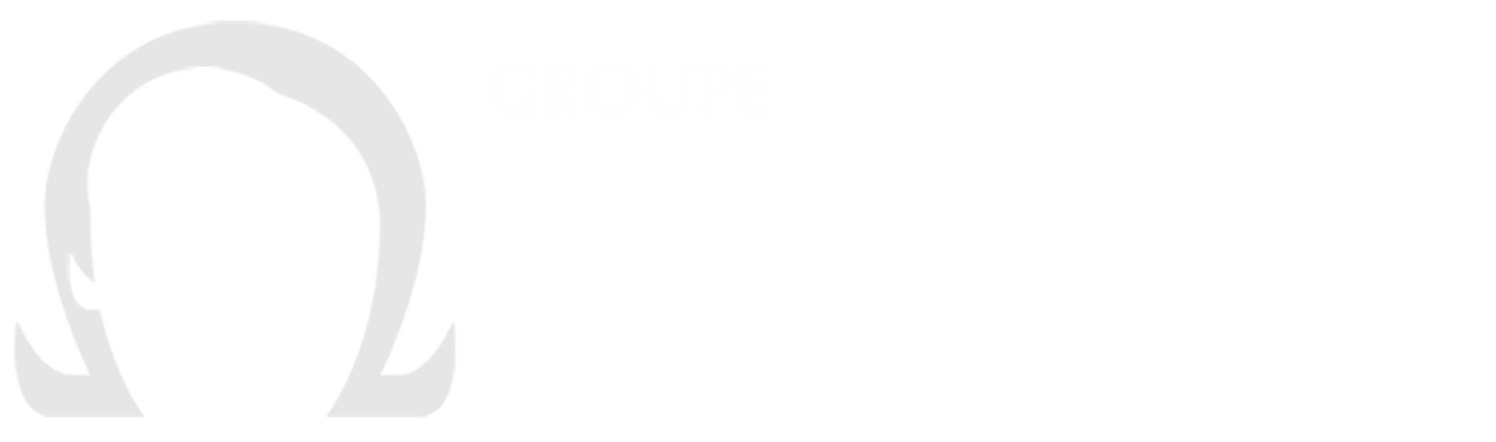 logo Le Groupe Ohmega